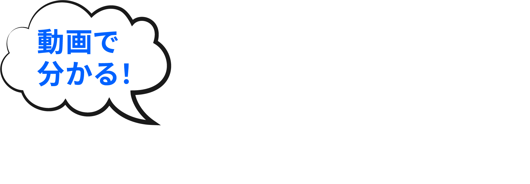 セクション6